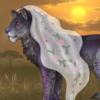 [Leopon] Veil